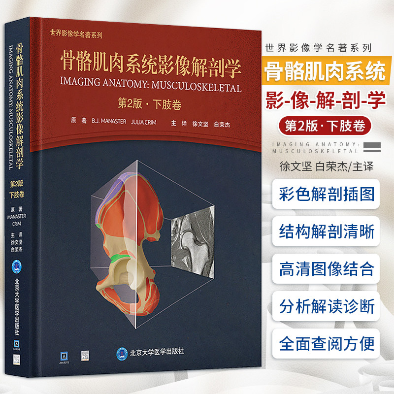 骨骼肌肉系统影像解剖学 第2版 下肢卷 徐文坚 白荣杰主译 下肢横断面