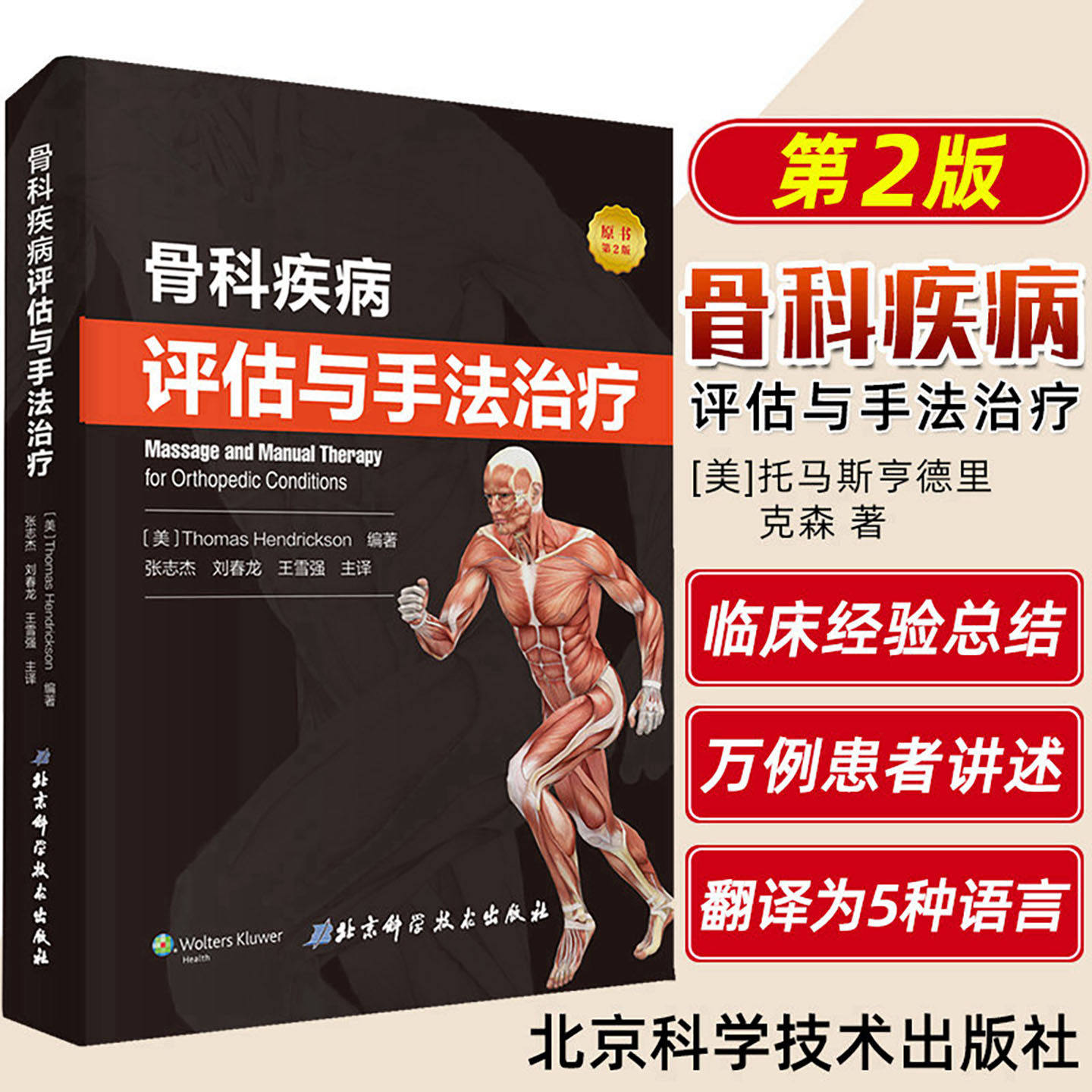 骨科疾病评估与手法治疗 康复医师物理治疗师按摩师编写实用指导书对骨骼肌肉常见疾病损伤与疼痛做出评估并进行手法治疗书籍