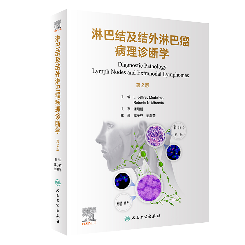 淋巴结及结外淋巴瘤病理诊断学 第2二版 高子芬 刘翠苓 淋巴结及结外淋巴瘤的良性及恶性病变皮肤弥漫大B细胞淋巴 人民卫生出版社