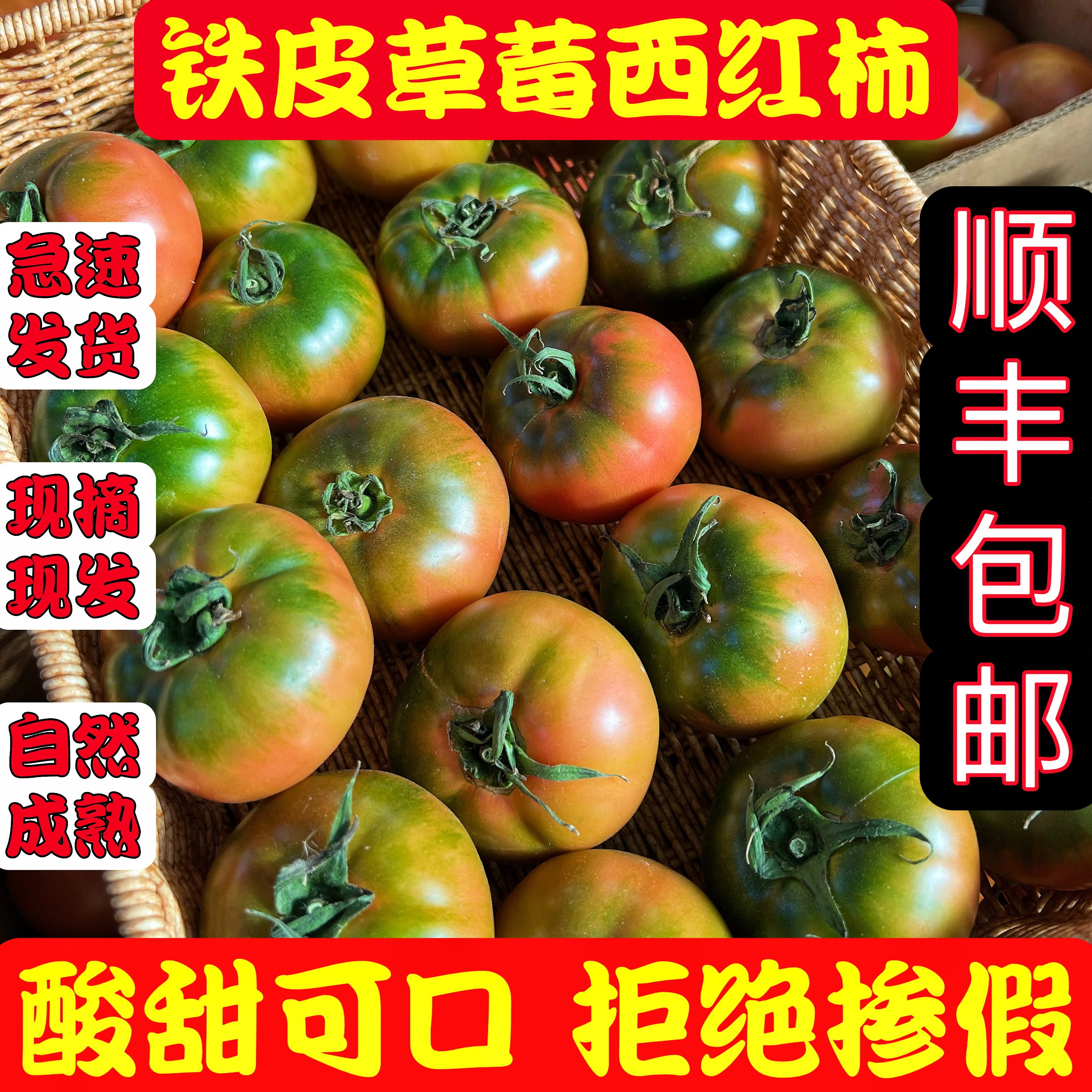丹东铁皮柿子草莓西红柿新鲜自然熟鹰爪碱地柿子生吃孕妇水果番茄