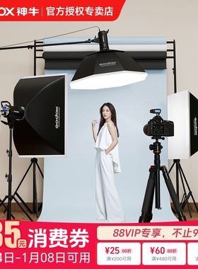 godox神牛摄影灯SK400 IIW二代影室闪光灯套装证件照形象照肖像照豆肯风摄影棚电商产品服装人像器材拍摄照相