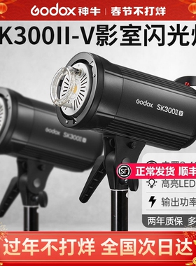 godox神牛SK300II/300IIV摄影灯 影室闪光灯单灯头裸灯 影棚拍摄影器材附件