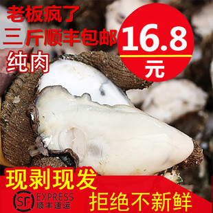 沙井生蚝刺身 牡蛎肉现捞吉拉多海蛎子烧烤蚝生蚝鲜活蚝纯肉250克