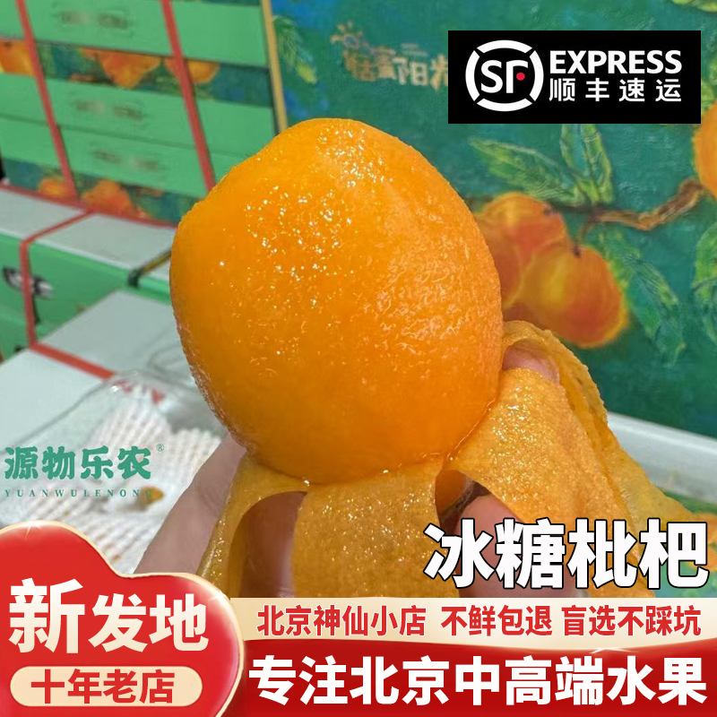 云南蒙自枇杷当季新鲜水果