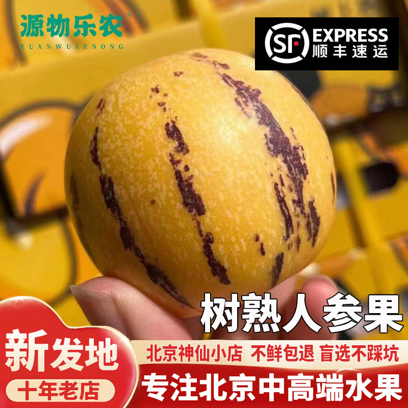 人参果新鲜水果云南石林黄心圆果树上熟七彩人叁果应当季整箱包邮,水产肉类/新鲜蔬果/熟食,人参果,淘宝优惠券,粉丝福利购,淘宝优惠卷