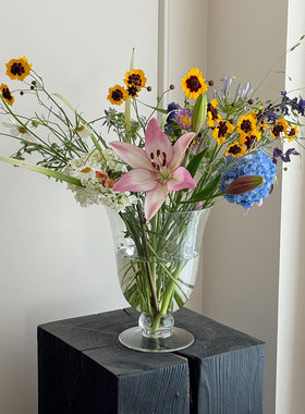 高透玻璃花瓶水培鲜花透明花器家居装饰ins风法式中古插花摆件