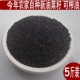 安徽农家自种 优质油菜籽家庭榨油用原料种子散装 鸟类粮食菜籽5斤