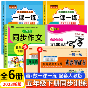 2023新版五年级下册语数同步练习册人教版语文数学课本同步练习册一课一练全套小学课堂作业本专项训练口算天天练学习资料补充习题