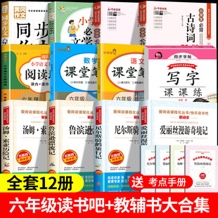 六年级下册鲁滨逊漂流记快乐读书吧6下课外书原著完整版鲁冰孙漂流记正版爱丽丝漫游奇境 尼尔斯骑鹅旅行记汤姆索亚历险记笔记练习