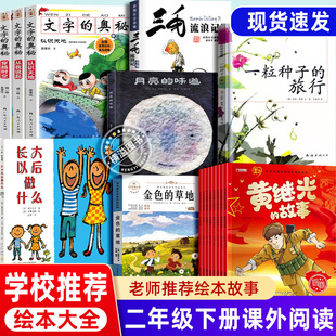 文字的奥秘杨一铎禹秀玲二年级下册课外书必读三毛流浪记红色经典故事全套一粒种子的旅行长大以后做什么月亮的味道绘本金色的草地