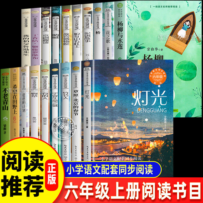 课外阅读书籍上册青山不老杨柳与水莲宗白华在希望的田野上长江文艺