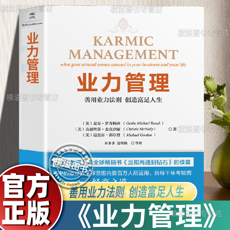 业力管理正版能断金刚善用业力法则创造富足人生续篇当和尚遇到钻石全球商业畅销书人生和事业双赢的秘密作者麦克·罗奇财富自由书