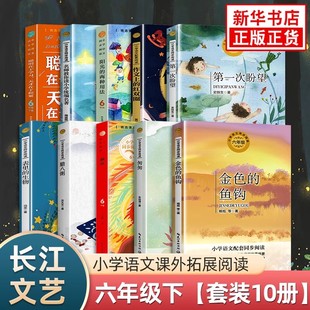 六年级下册必读的课外书课文课内作家作品金色的鱼钩腊八粥匆匆藏戏表里的生物作文上的红双圈长江文艺出版社阳光的两种用法
