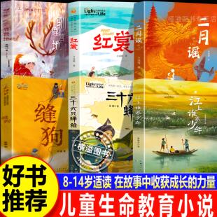江上谁家少年+三十六只蜂箱+二月谣+缝狗+驯鹿营地 6-15岁儿童文学中国好书正版书籍推荐在阅读中启迪成长长江少年儿童出版社