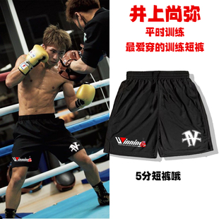 井上尚弥winning拳击训练短裤5分运动跑步散打搏击格斗mma速干