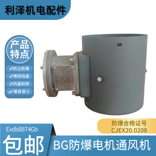 BG防爆电机通风机变频电机风扇叶