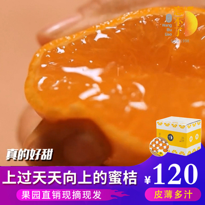 新鲜涌泉蜜桔忘不了橘子无核
