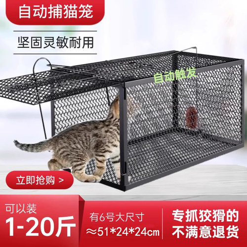 大号更好用大号更好用大号更好用