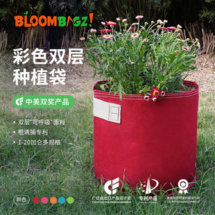 BLOOMBAGZ美式加仑种植袋盆栽花卉绿植兰花阳台专用创意特大花盆