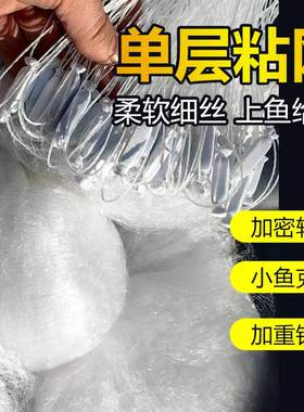 白条网渔网粘网丝网尖嘴子翘嘴川条子单层鲢子鱼网鲫鱼鲢鱼餐条网