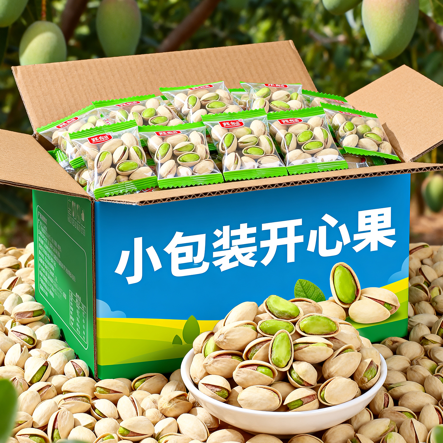 独立小包装原色开心果盐焗新货