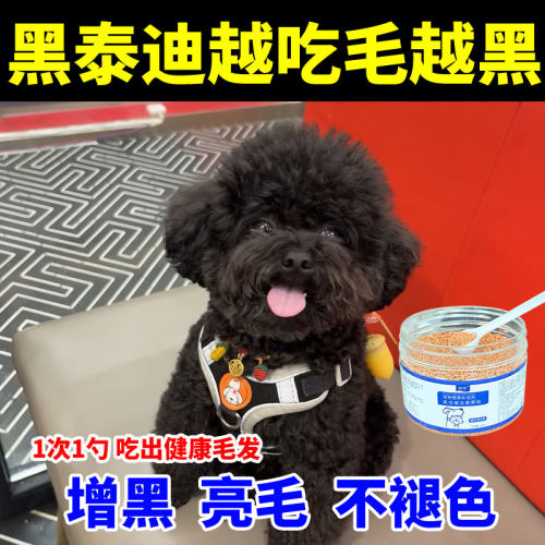黑泰迪增色增黑防褪色发白维生素