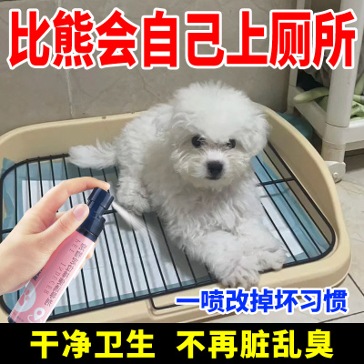 比熊定点上厕所不乱拉乱尿喷雾