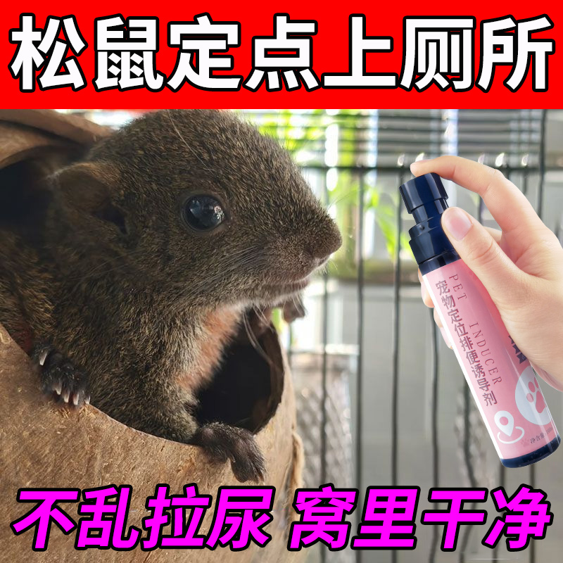 松鼠专用定点排便诱导剂不乱拉尿