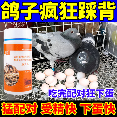 鸽子专用下蛋产蛋饲料增蛋宝