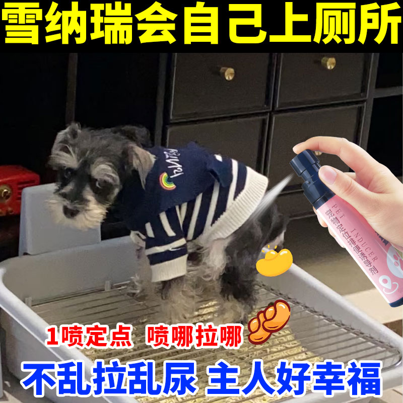 雪纳瑞定点上厕所定位排便诱导剂