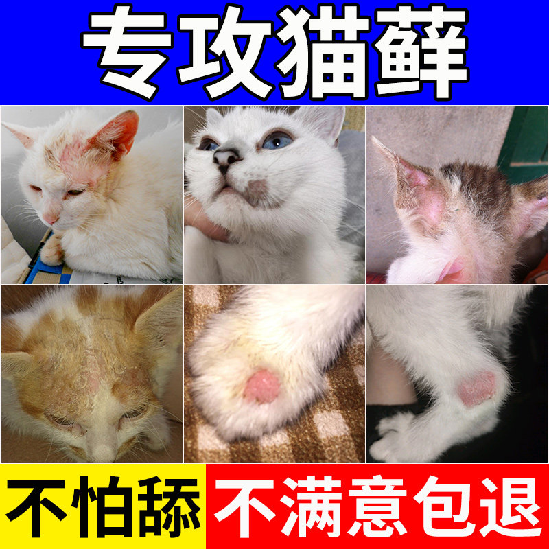 猫咪猫藓药外用猫癣专用喷雾幼猫防舔皮肤病喷剂真菌感染宠物用品
