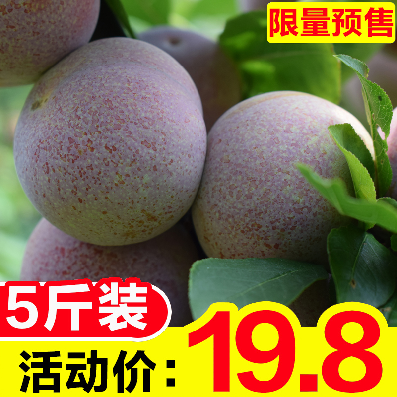 李憲強著