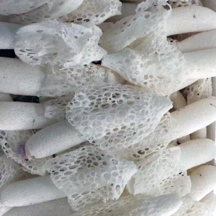 竹荪新鲜特级长裙竹荪蛋野生家乡山珍特产食用菌产品云南干货蔬菜