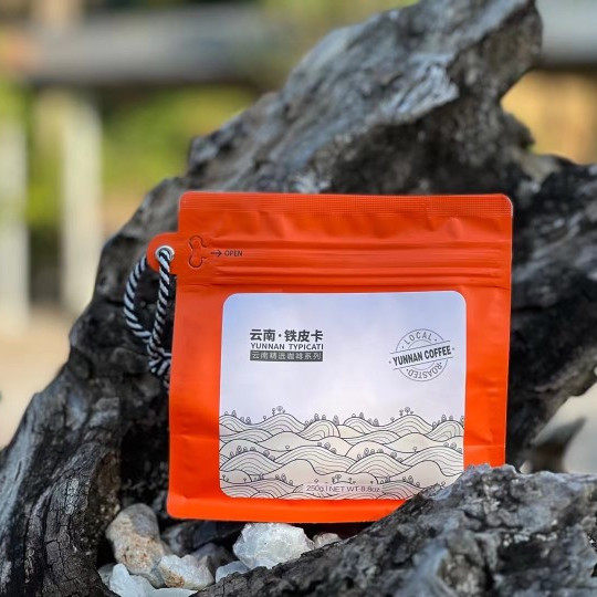 中度烘焙普洱小粒咖啡豆
