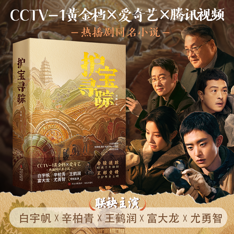 护宝寻踪 白宇帆辛柏青主演影视剧护宝寻踪同名小说 揭开考古反盗墓刑侦故事背后的千年帝陵之谜与人性真相感受历史文明的重量书籍