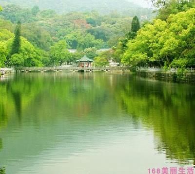 2025广东惠州旅游攻略图（电子版）自助游自由行景点美食旅行指南