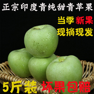 整箱现摘5斤装 纯甜冰糖心丑苹果当季 正宗新鲜水果老式 印度青苹果