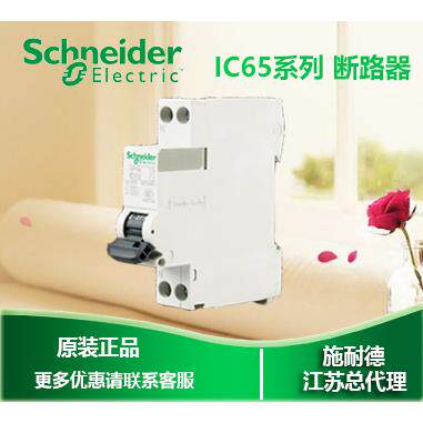 正品 小型断路器双进双出 IDPNA vigi+ 1P C25A A9D91625询价
