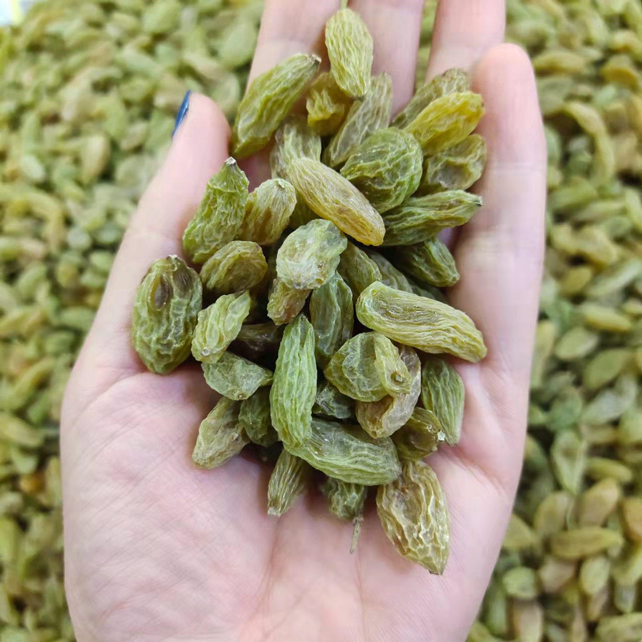 北极王葡萄干绿色特甜特大新疆吐鲁番超大干果无核500g两件包邮