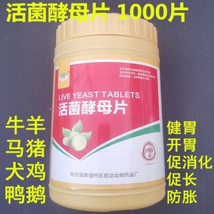 兽用1000片活菌酵母片酵母粉兽用开胃啤酒酵母斗鸡鸭鹅犬猫兔牛羊