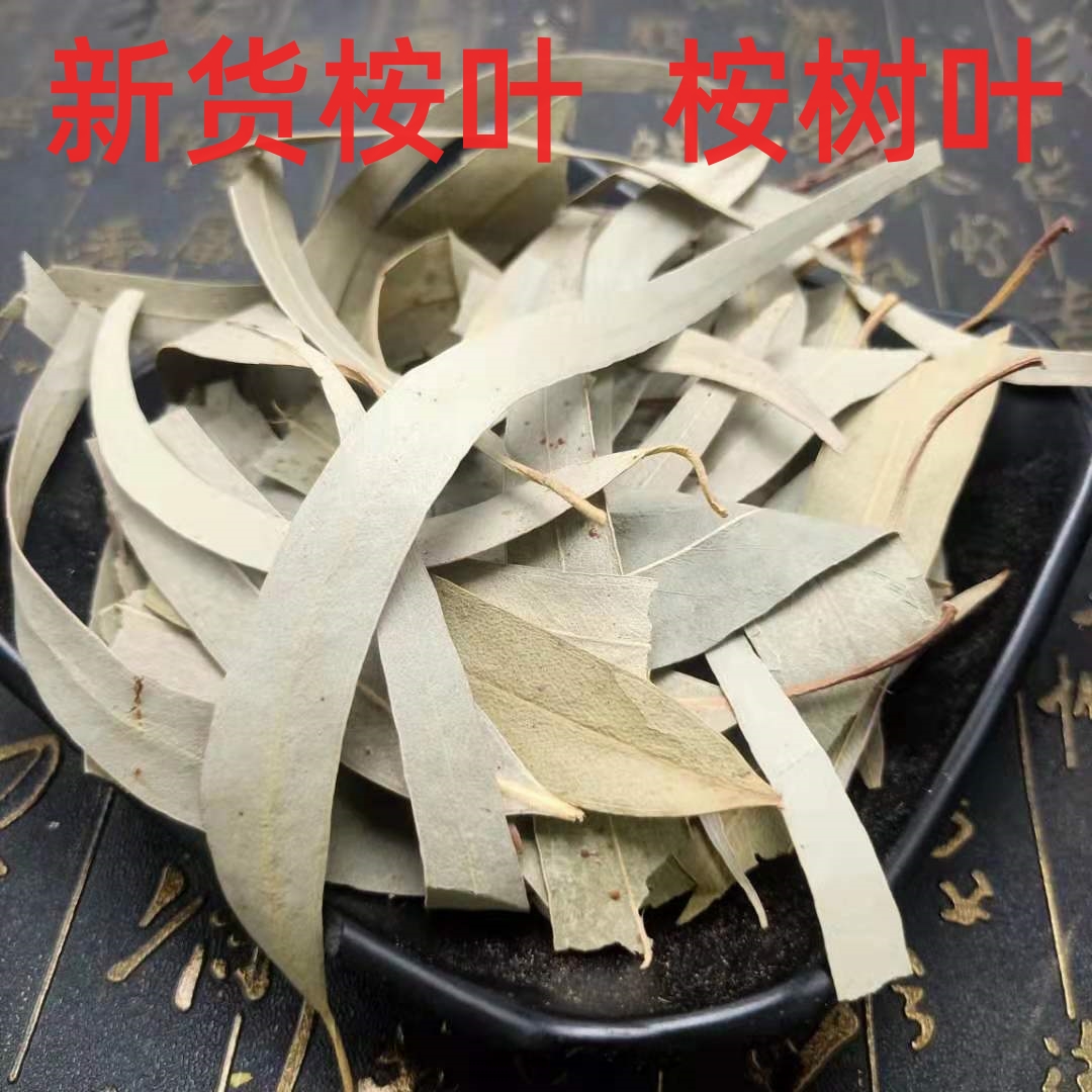 桉树叶中药材散装桉树大叶按树叶子干尤加利树叶桉叶安叶500g包邮