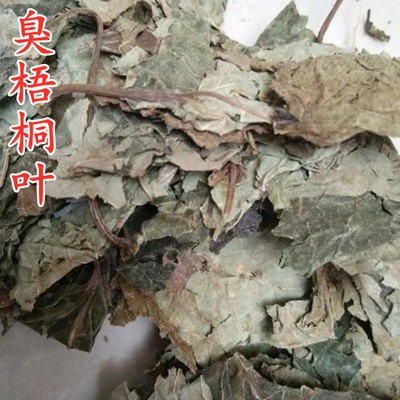 新货云南臭梧桐叶中药材