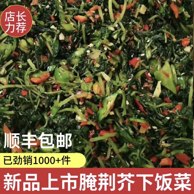 河南信阳新县特产腌荆芥