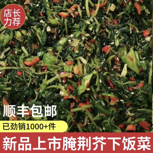 河南信阳新县特产腌荆芥