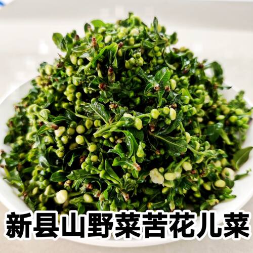 河南信阳新县特产野生山野菜苦花儿菜白花菜珍珠花焯水新鲜发货