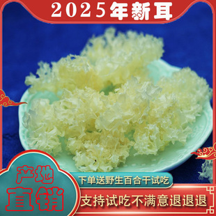 四川天然椴木银耳中小朵孕妇雪耳非古田通江白木耳无硫无根干货