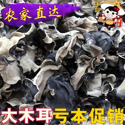 【毛木耳干货火锅脆】白背黑木耳 头茬大木耳脆木耳肉厚凉拌