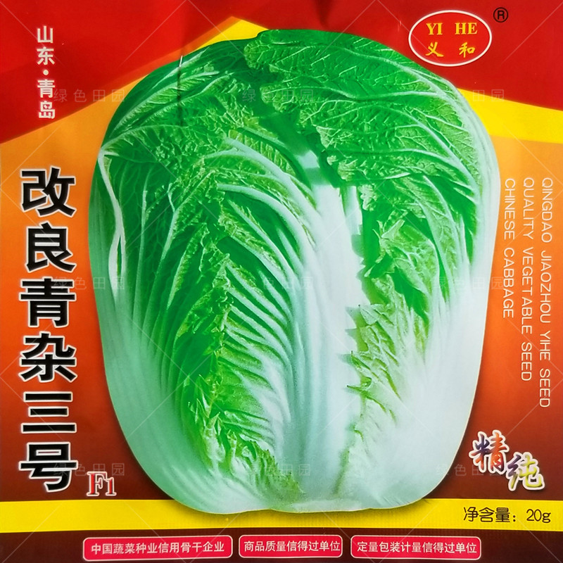 改良青杂三号大白菜种子菜园农家秋季播蔬菜籽辣白菜泡菜韩国种孑