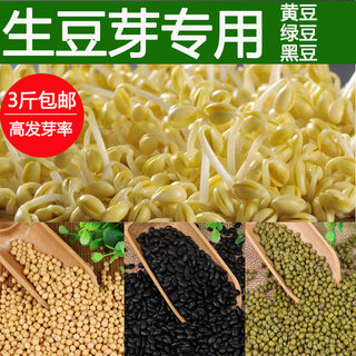 生豆芽专用黄豆绿豆小粒黑豆种子豆芽菜种子芽苗菜无土水培蔬菜