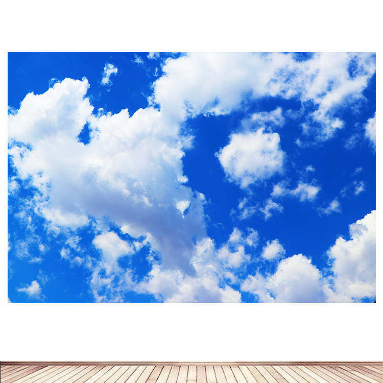 蔚蓝的天空晴天青天蓝天白云客厅卧室墙贴画装饰画青空晴空自粘2